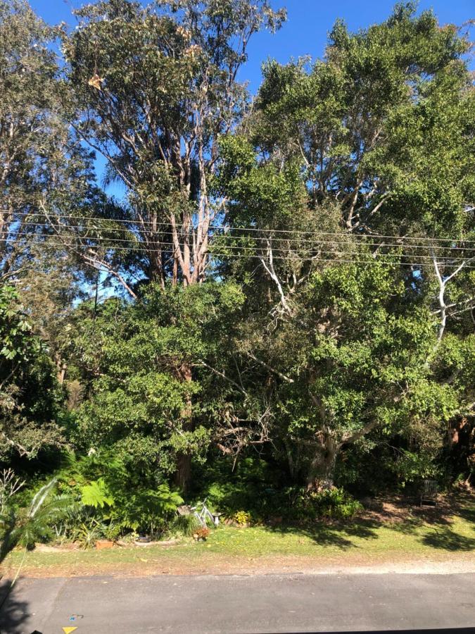 Brunswick Heads Treetop Studio Apartment ภายนอก รูปภาพ